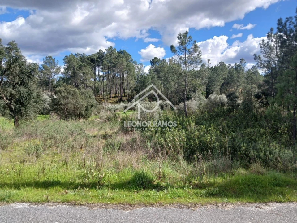 Terreno para Venda em Sarzedas Foto 2