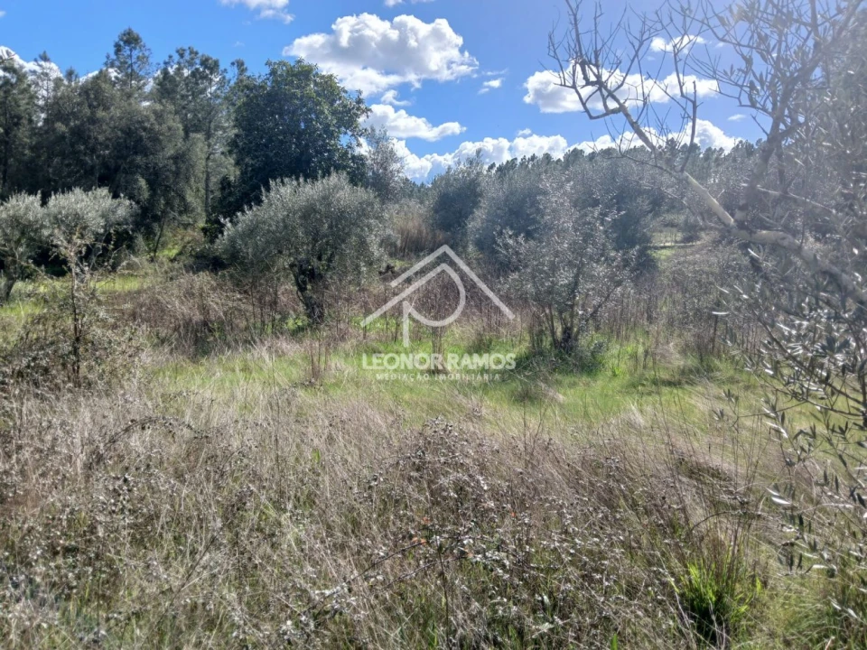 Terreno para Venda em Sarzedas Foto 16