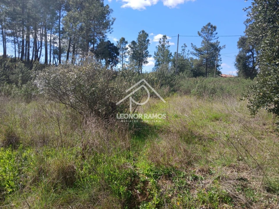 Terreno para Venda em Sarzedas Foto 13