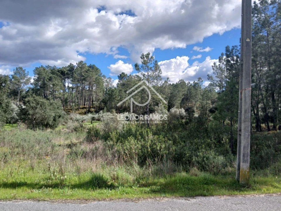 Terreno para Venda em Sarzedas Foto 1