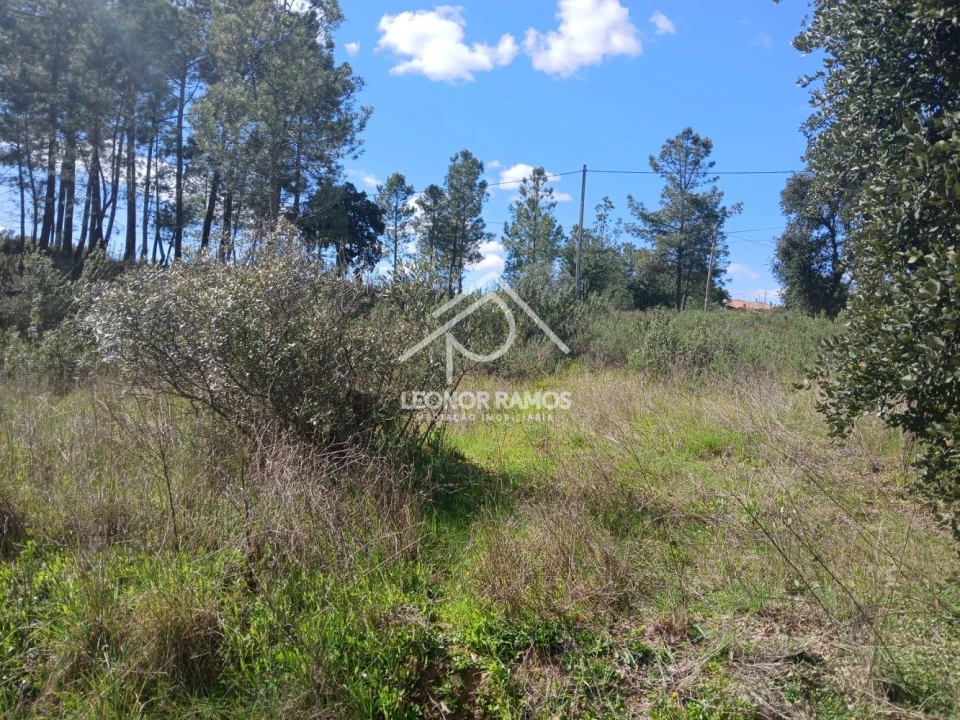 Terreno para Venda em Sarzedas Foto 12