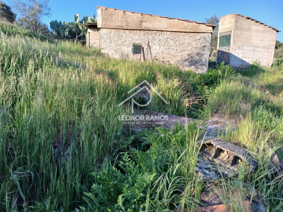 Terreno para Venda em Idanha-A-Nova e Alcafozes Foto 29