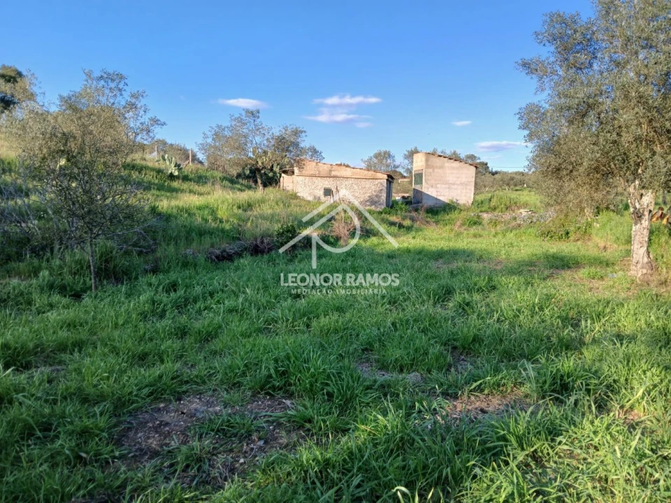 Terreno para Venda em Idanha-A-Nova e Alcafozes Foto 31