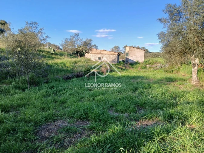Terreno para Venda em Idanha-A-Nova e Alcafozes Foto 31
