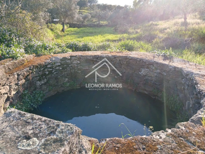 Terreno para Venda em Idanha-A-Nova e Alcafozes Foto 22