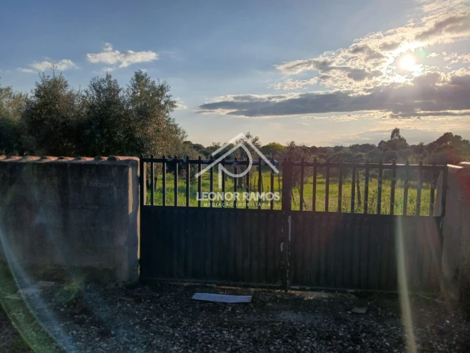 Terreno para Venda em Idanha-A-Nova e Alcafozes