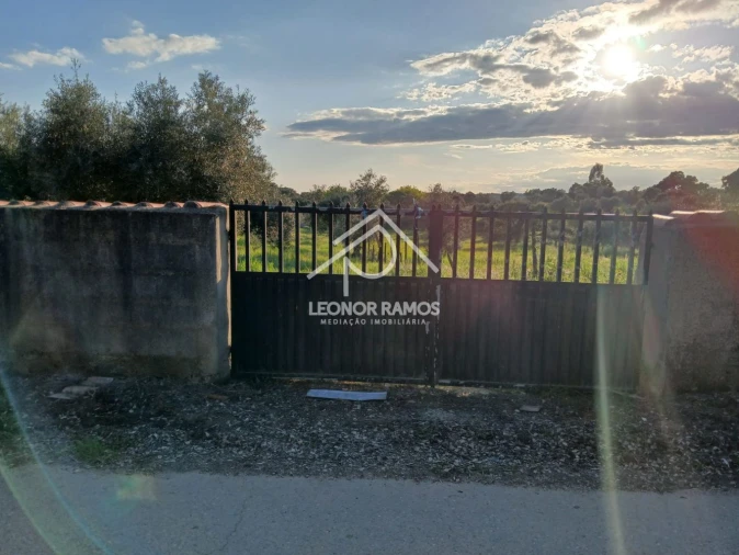 Terreno para Venda em Idanha-A-Nova e Alcafozes Foto 5