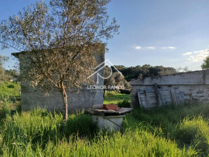Terreno para Venda em Idanha-A-Nova e Alcafozes Foto 6