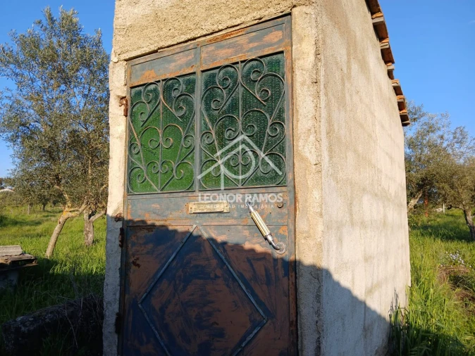 Terreno para Venda em Idanha-A-Nova e Alcafozes Foto 10