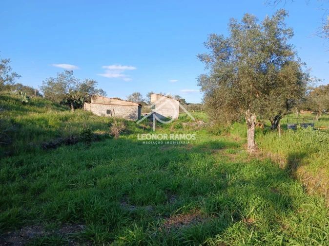 Terreno para Venda em Idanha-A-Nova e Alcafozes Foto 30