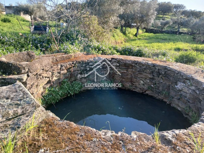 Terreno para Venda em Idanha-A-Nova e Alcafozes Foto 24