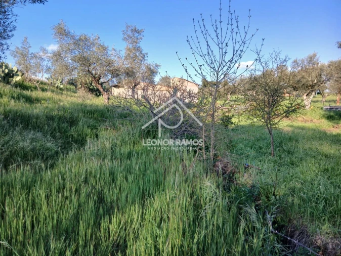 Terreno para Venda em Idanha-A-Nova e Alcafozes Foto 34