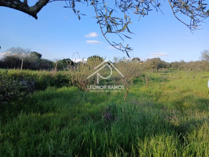 Terreno para Venda em Idanha-A-Nova e Alcafozes Foto 16