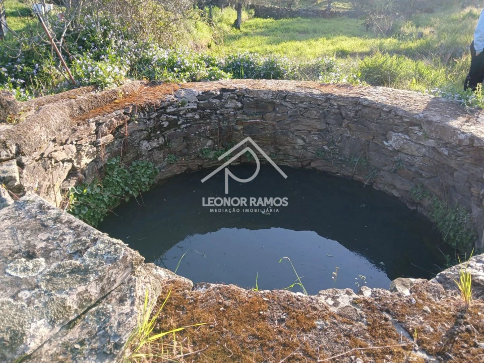 Terreno para Venda em Idanha-A-Nova e Alcafozes Foto 25