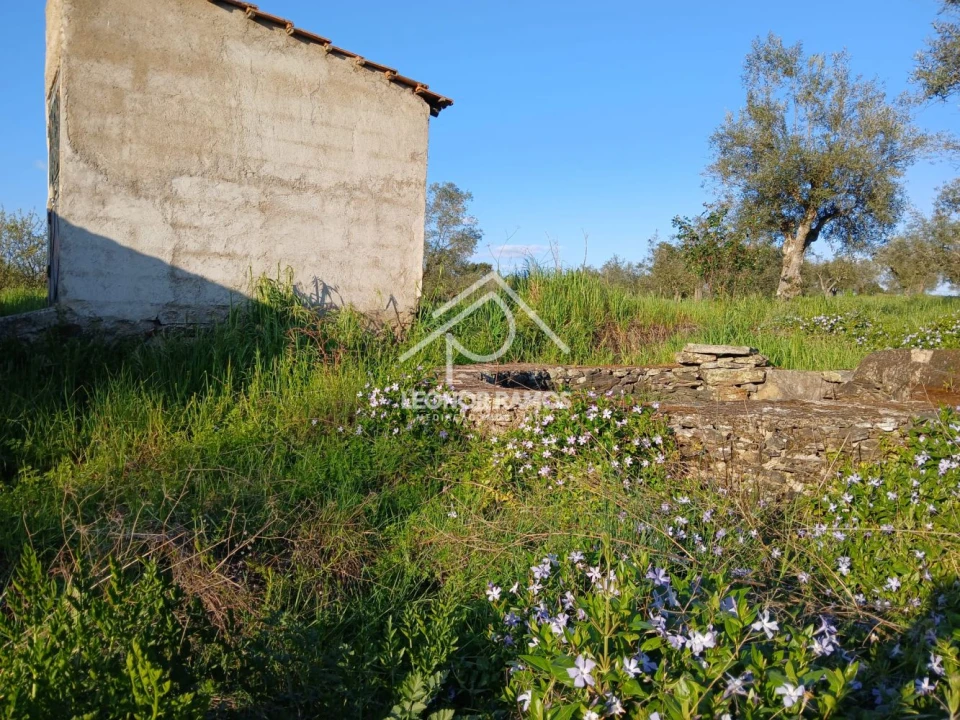 Terreno para Venda em Idanha-A-Nova e Alcafozes Foto 27