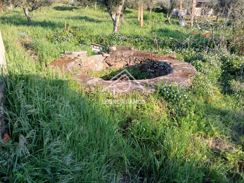Terreno para Venda em Idanha-A-Nova e Alcafozes Foto 14
