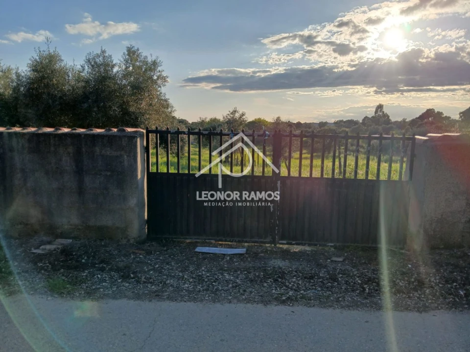 Terreno para Venda em Idanha-A-Nova e Alcafozes Foto 5