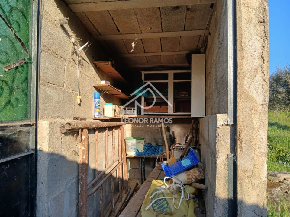 Terreno para Venda em Idanha-A-Nova e Alcafozes Foto 15