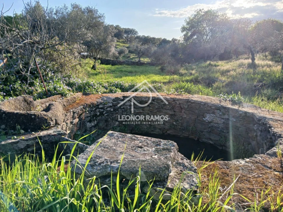 Terreno para Venda em Idanha-A-Nova e Alcafozes Foto 23