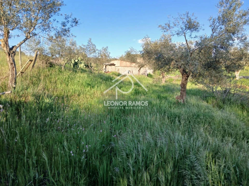 Terreno para Venda em Idanha-A-Nova e Alcafozes Foto 36