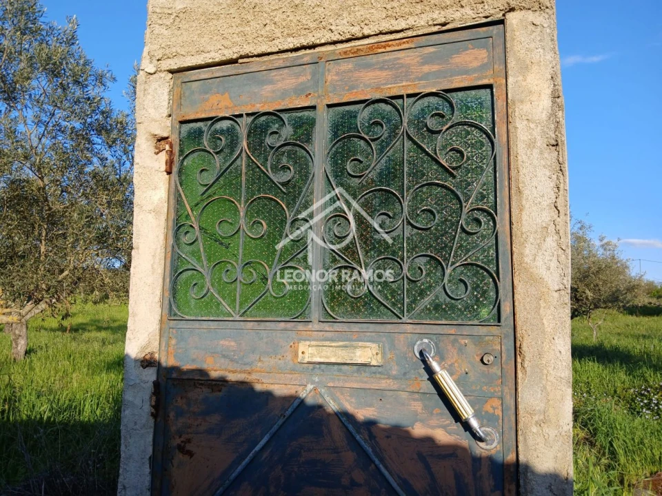 Terreno para Venda em Idanha-A-Nova e Alcafozes Foto 12