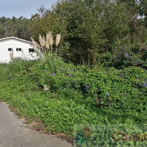 Terreno para Venda em Escapães Foto 6