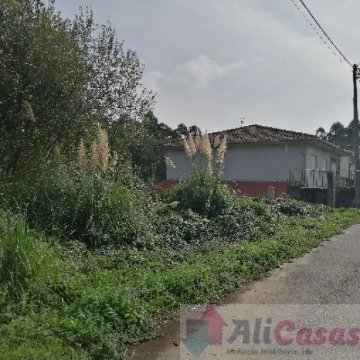 Terreno para Venda em Escapães Foto 7