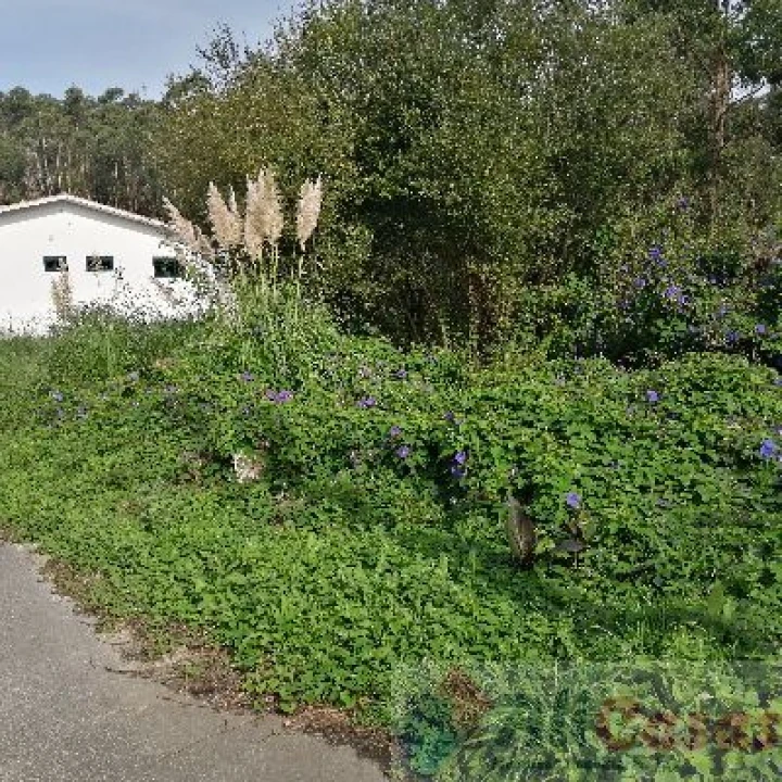 Terreno para Venda em Escapães Foto 6