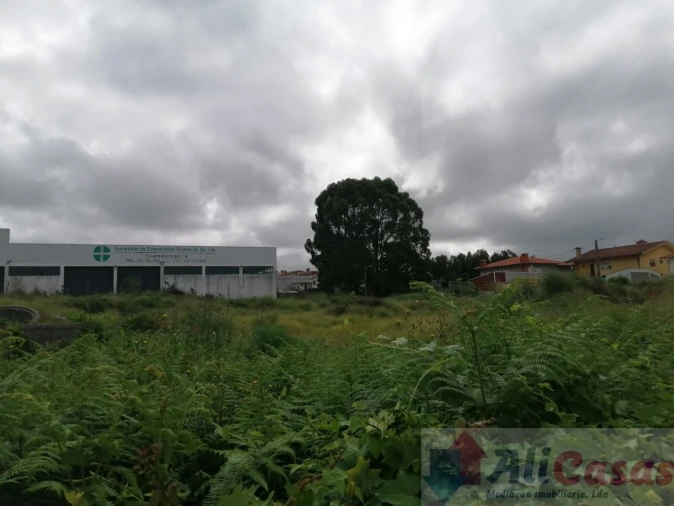 Terreno para Venda em Cortegaça Foto 13