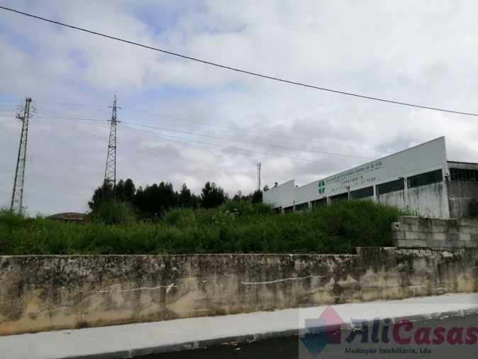 Terreno para Venda em Cortegaça Foto 1