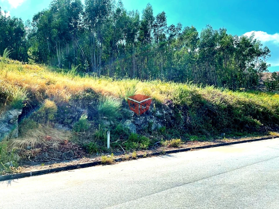 Terreno para Venda em Povoa de Lanhoso (N. Senhora do Amparo) Foto 6