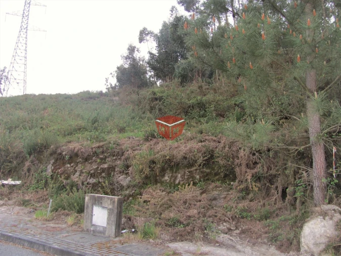 Terreno para Venda em Galegos Foto 15