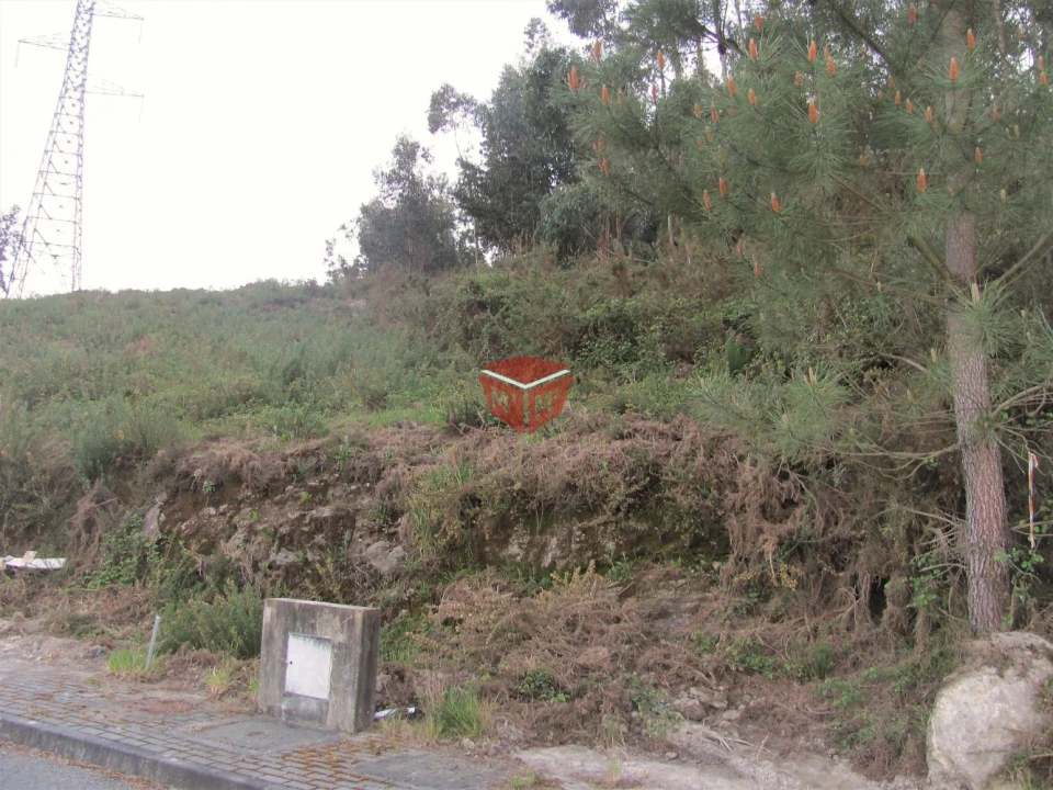 Terreno para Venda em Galegos Foto 15