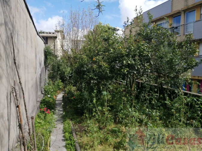 Moradia T3 para Venda em Coronado (São Romão e São Mamede) Foto 12