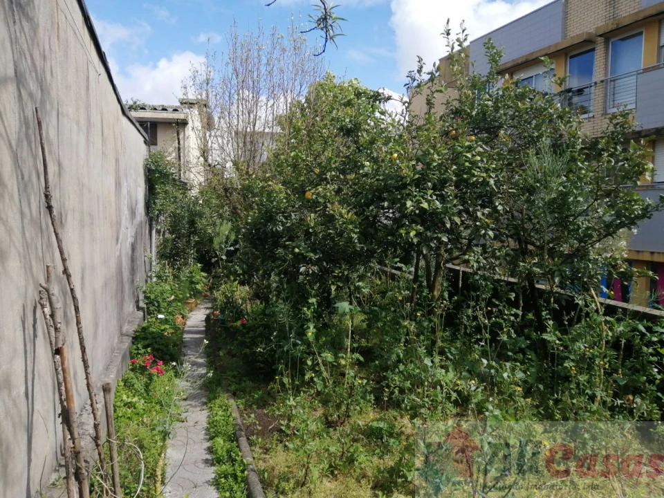 Moradia T3 para Venda em Coronado (São Romão e São Mamede) Foto 12