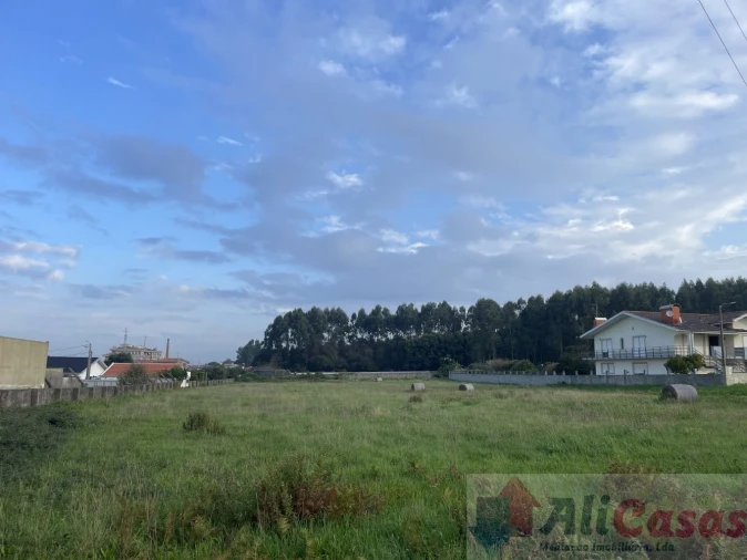 Terreno para Venda em Esmoriz Foto 11