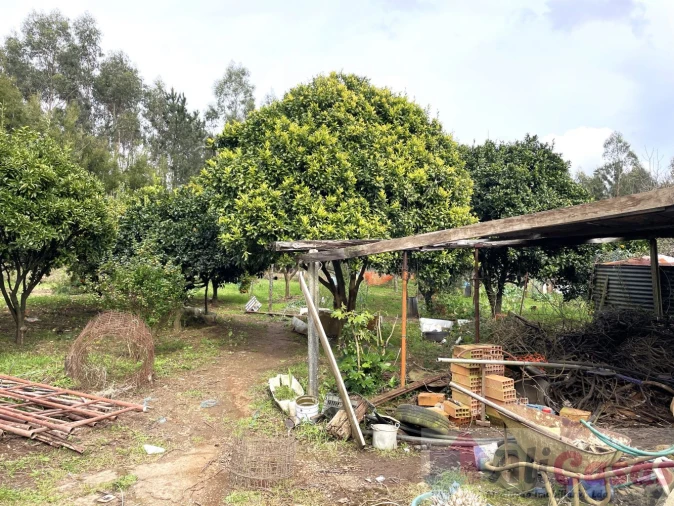 Moradia T4 para Venda em Grijó e Sermonde Foto 56