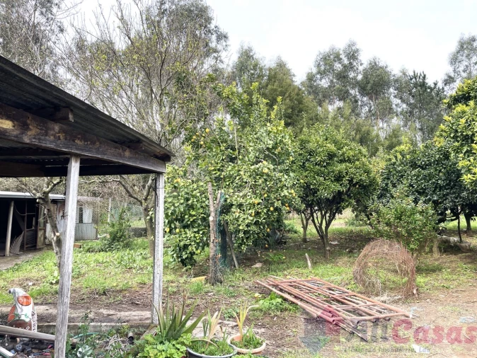 Moradia T4 para Venda em Grijó e Sermonde Foto 60