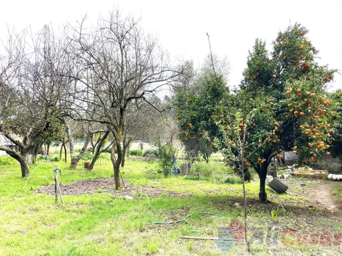 Moradia T4 para Venda em Grijó e Sermonde Foto 59