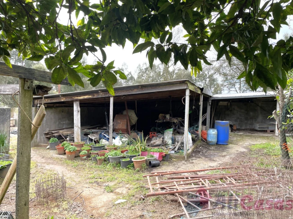 Moradia T4 para Venda em Grijó e Sermonde Foto 57