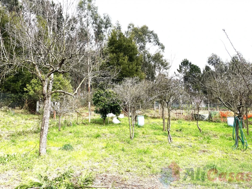 Moradia T4 para Venda em Grijó e Sermonde Foto 58