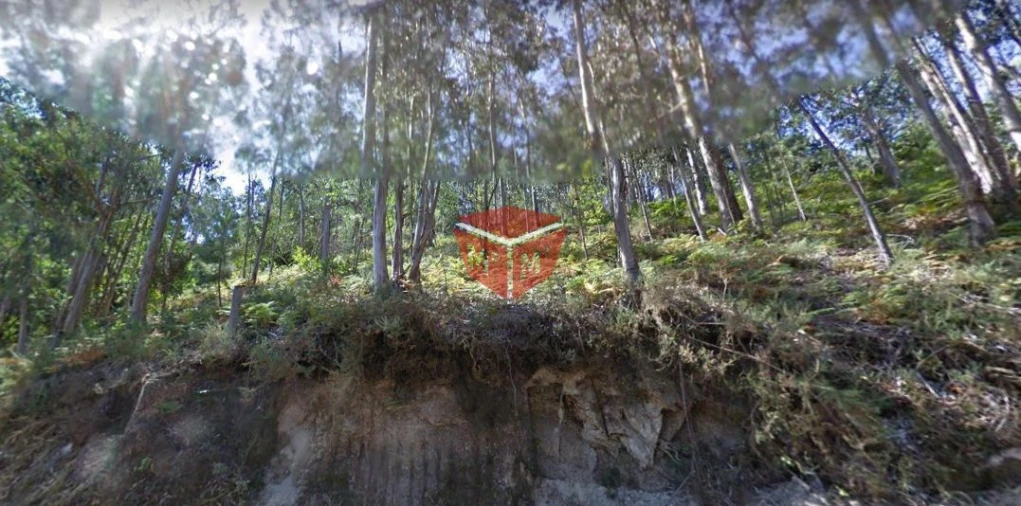 Terreno para Venda em Povoa de Lanhoso (N. Senhora do Amparo) Foto 2