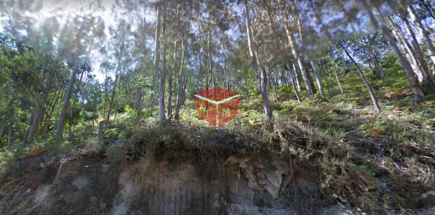 Terreno para Venda em Povoa de Lanhoso (N. Senhora do Amparo) Foto 2