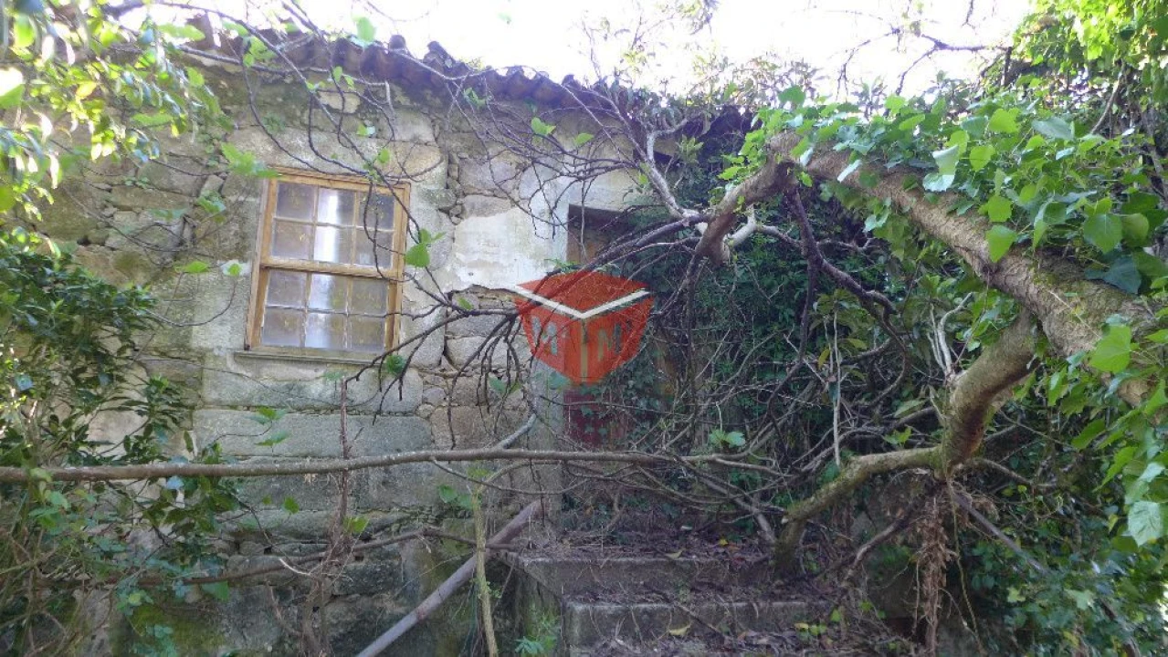 Quinta T0 para Venda em Povoa de Lanhoso (N. Senhora do Amparo) Foto 4