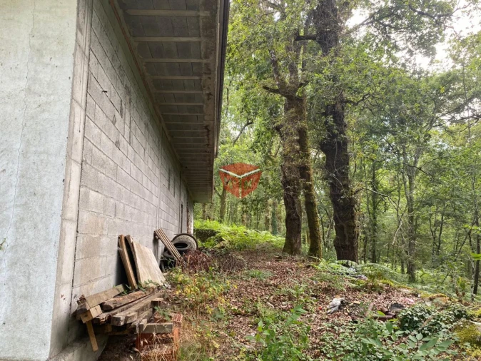 Loja para Venda em Moimenta Foto 17