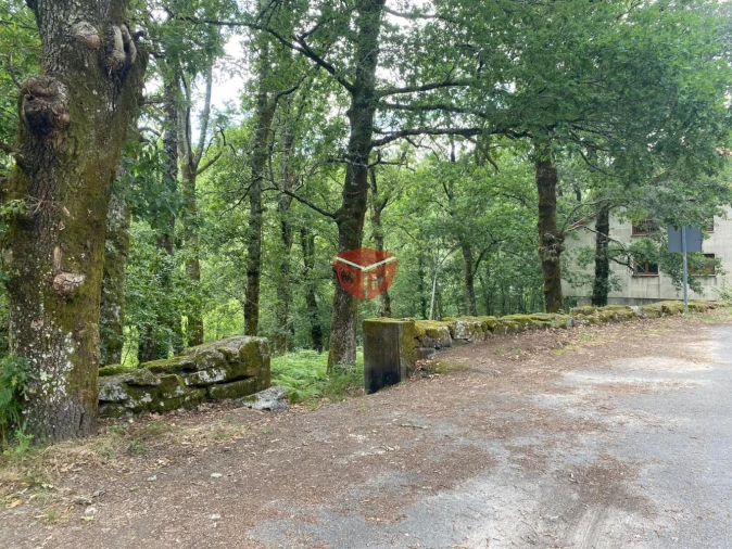 Loja para Venda em Moimenta Foto 4