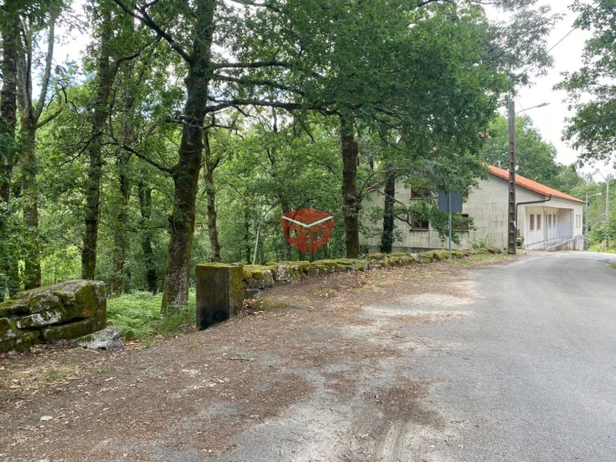 Loja para Venda em Moimenta Foto 5