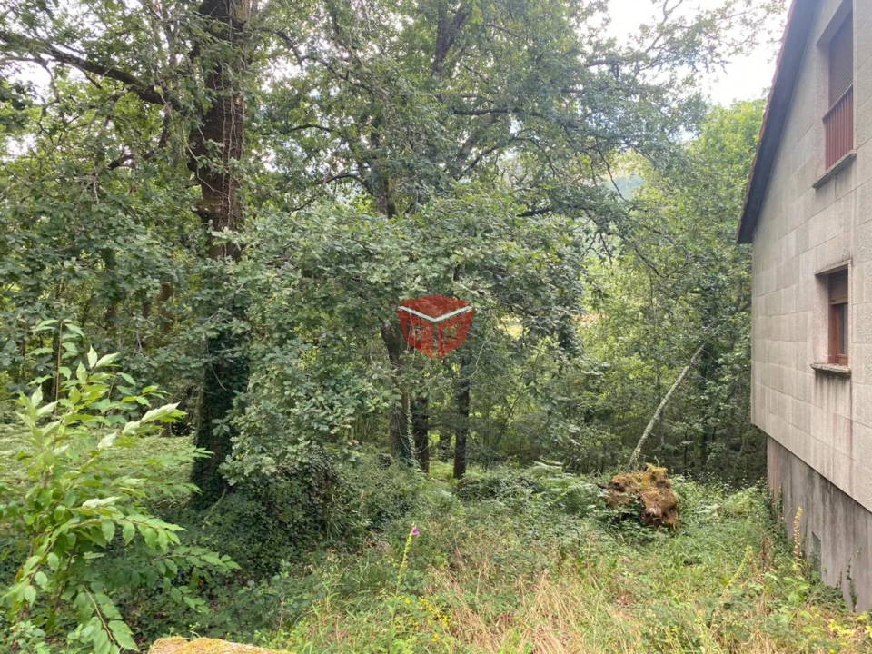 Loja para Venda em Moimenta Foto 3