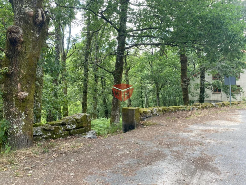 Loja para Venda em Moimenta Foto 4