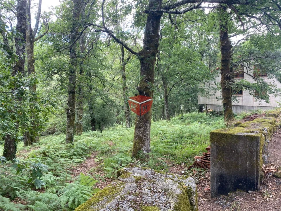 Loja para Venda em Moimenta Foto 16